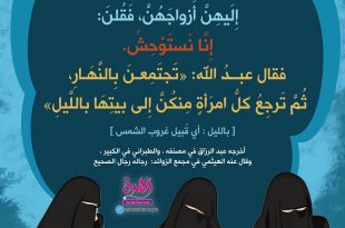 فقه - خروج معتدة الوفاة نهارا لحاجة