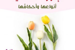 كيف أهيئ صغيرتي للبلوغ - الإفرازات النسائية