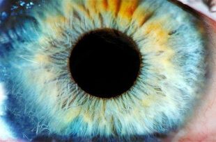 منوع - العين والوهم