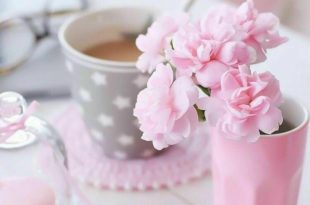 جالسي جميلات الروح تصبك عدوى جمالهن