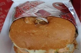 الحياة الزوجية - العالم المتصنع