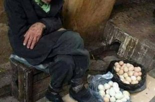 قضايا اجتماعية - السنيورة والعجوز بائع البيض