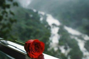 بطاقات الصباح والمساء - إذا ما ألمت شدة فاصطبر لها