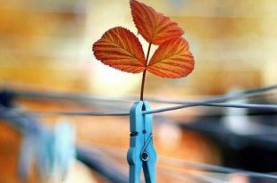 بطاقات الصباح والمساء - لا توجد في البيوت طاقة سلبية، وطاقة إيجابية