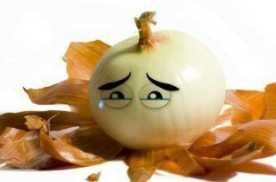 الحياة الزوجية - لطيفة ادبية