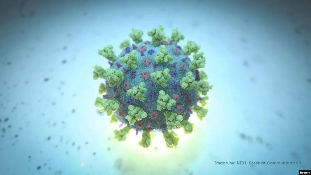 صحة - بعد تفشي #كورونا ..  ما هي الفيروسات أصلا وهل هي كائنات حية؟