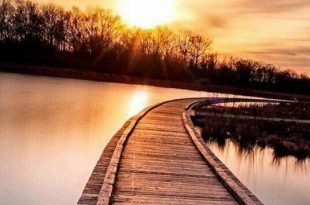 بطاقات الصباح والمساء - يا ايها الانسان ما هذا القلق؟