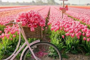 بطاقات الصباح والمساء - اسعد الله صباحكم