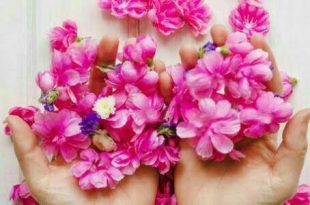 اداب واخلاق - عندما تعملين خيرا، او تقدمين جميلا، اياك ان تقفي طويلا عنده