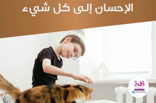 نصائح في تربية الأولاد - علمي ولدك الإحسان إلى كل شيء