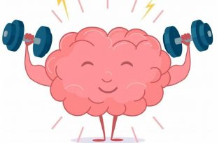 صحة - الدماغ والغذاء