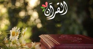 بطاقات الصباح - كل الأنس في القرآن