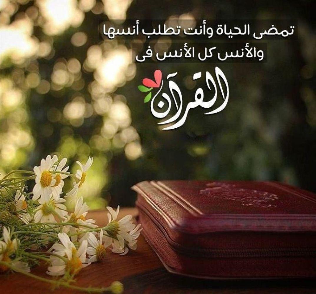 بطاقات الصباح - كل الأنس في القرآن