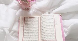 البطاقات الصباحية - افتتحي يومك بقراءة القرآن