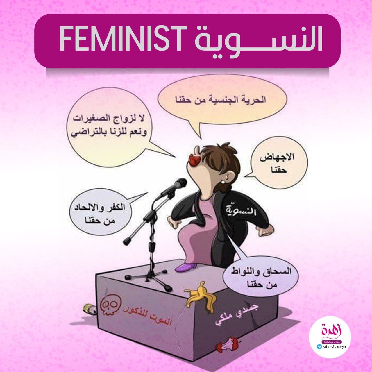 النسوية - feminist